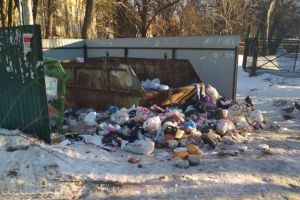 «За что мы платим деньги?». Пензенцы возмущены тем, что у них не вывозится мусор