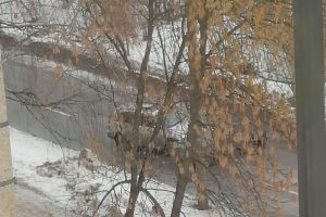 ДТП в пензенском Арбекове затруднило движение в сторону трассы М-5