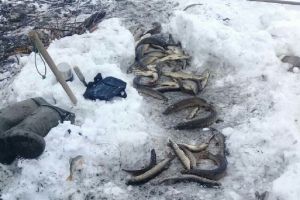 Пензенец наловил рыбы руками и был обвинен в неспортивном поведении