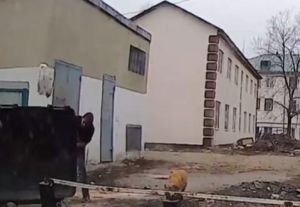 В Пензе мужчина атаковал мусорный контейнер