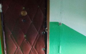 На двери квартиры в пензенском районе Арбеково сделали вход для «полумужа». Фото