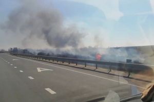 «Горят дачи». В пензенском паблике появилось видео большого пожара