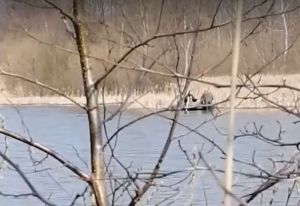 Пензенец снял браконьеров на видео и пожаловался на бездействие полиции