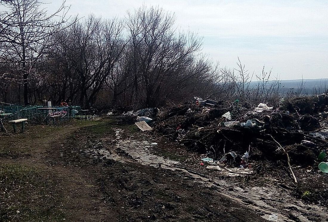 В райцентре Пензенской области из кладбища делают помойку. Фото