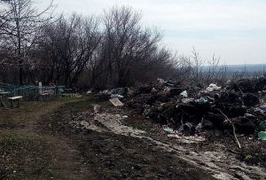 В райцентре Пензенской области из кладбища делают помойку. Фото