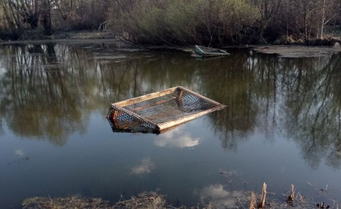 В водоеме пензенской Терновки плавают загадочные конструкции