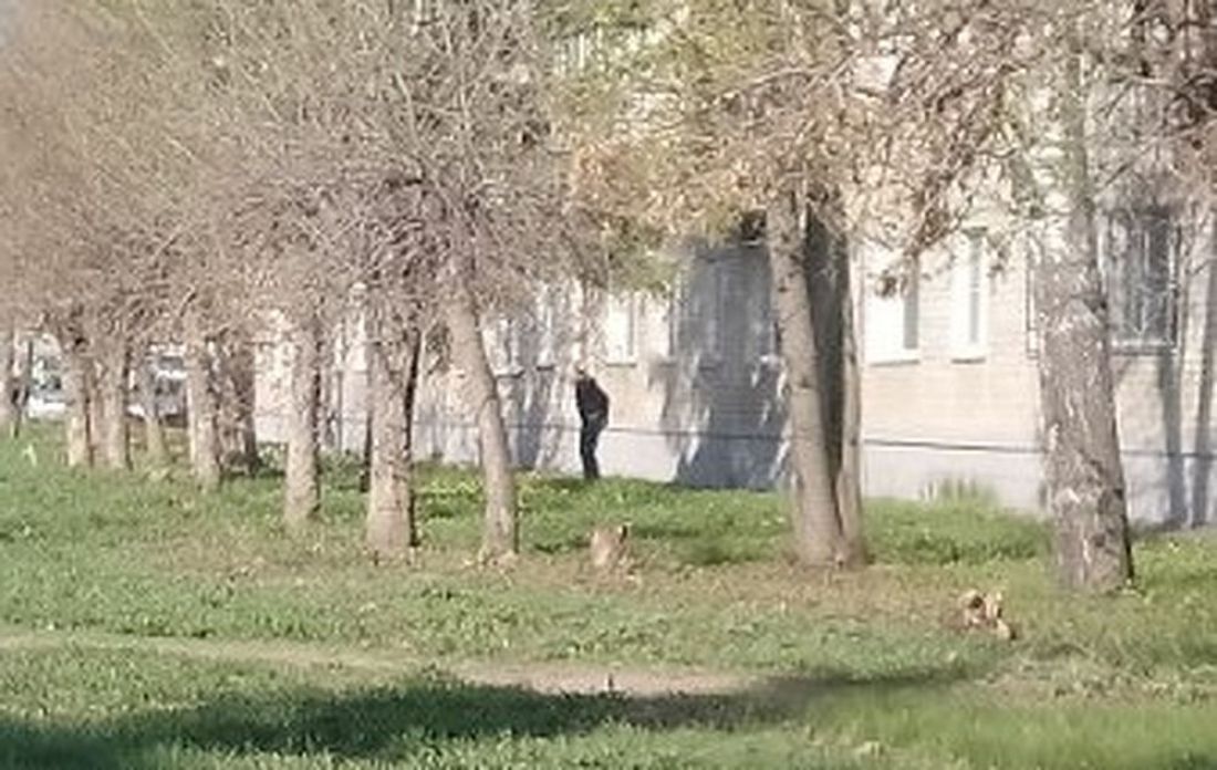 На улицах Пензы днем беспределят писающие «мальчики». Фото