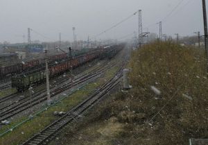 В Пензенской области выпал снег