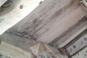 В Сердобске бабушка ходит по дому в пленке из-за протекающей крыши
