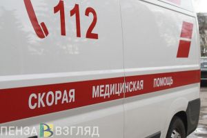 За десять минут на трассе М-5 в Пензенской области сбили двоих мужчин