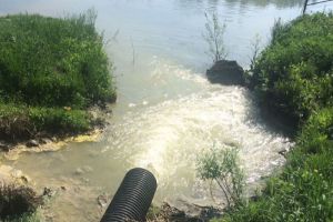 Пензенский рыбак:«Зрелище неимоверное. Вода кишит, черное облако рыбы и половина кверху пузом»