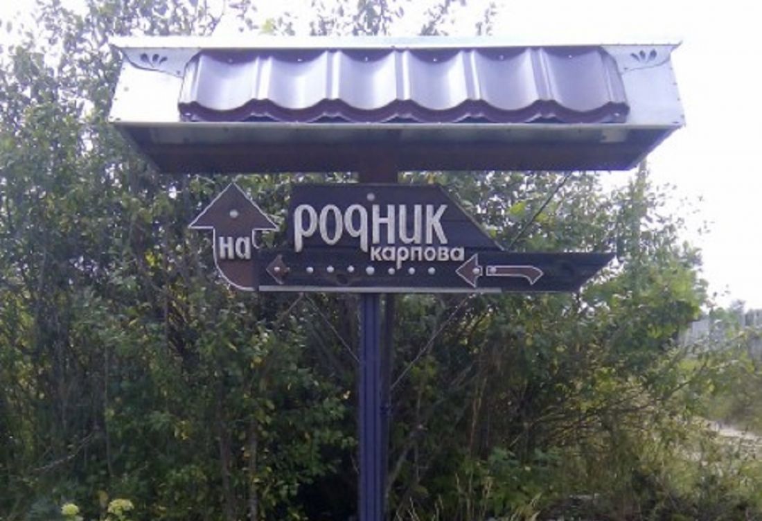 Жители Пензенской области займутся спасением уникального родника