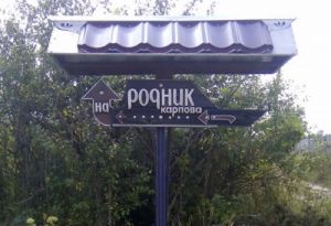 Жители Пензенской области займутся спасением уникального родника