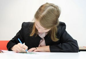 В области, граничащей с Пензенской, 15-летний школьник ударил ученицу ледорубом по голове
