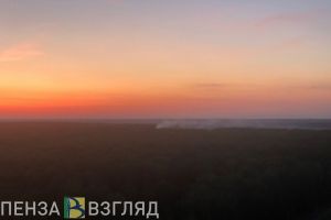 «Бодро горит». Пензенцы сообщают о пожаре в районе Новозападного кладбища