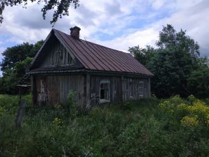 Покушение на убийство, приостановление «итальянской забастовки» и поиски мужчины – новости Пензы за 29 мая