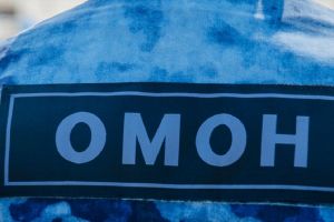 Во время схода граждан в Чемодановке общественный порядок будут обеспечивать росгвардейцы