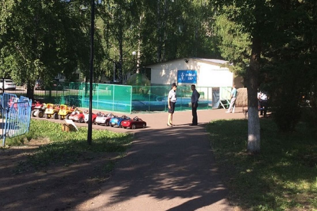 Задержание участников массовой драки, травмирование девочки и смертельный пожар: новости Пензенской области за 15 июня