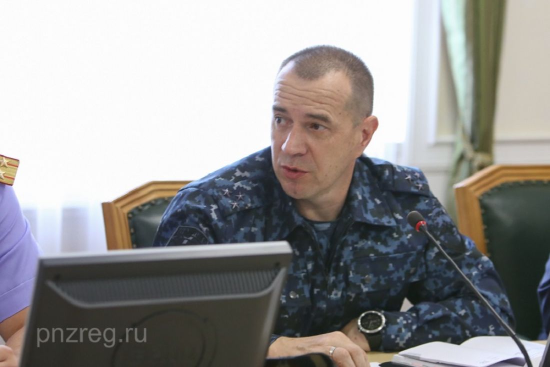 Пензенское УМВД установило 12 участников массовой драки в Чемодановке