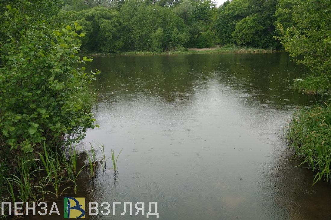 Утонувший мужчина, приговор главврачу и арест пятнадцати участников массовой драки: новости Пензенской области за 18 июня