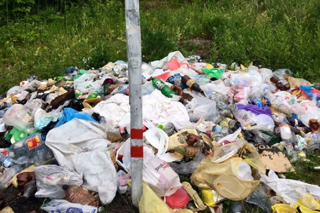 «Имейте совесть, господа». Пензенцы возмущены свалкой возле озера