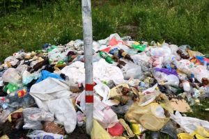 «Имейте совесть, господа». Пензенцы возмущены свалкой возле озера