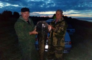Пензенские рыбаки поймали 38-килограммовую рыбину