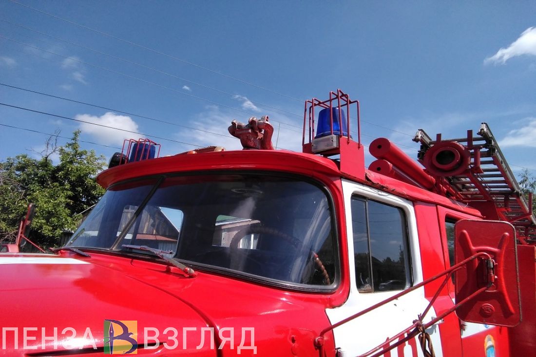 Обращение предпринимателя к президенту, смертельный пожар и пострадавшие в ДТП дети: новости Пензенской области за 20 июня