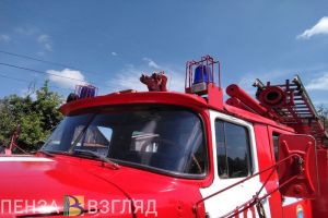 Обращение предпринимателя к президенту, смертельный пожар и пострадавшие в ДТП дети: новости Пензенской области за 20 июня