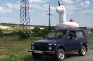 «Грациозно падают пьяные отцы». Под Пензой заметили «животное», которое трудно оседлать