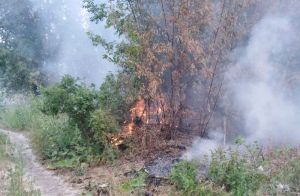 Огненные забавы детей в Пензенской области привели к пожару. Фото
