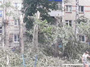 В Пензенской области благоустройство двора обернулось жутким зрелищем