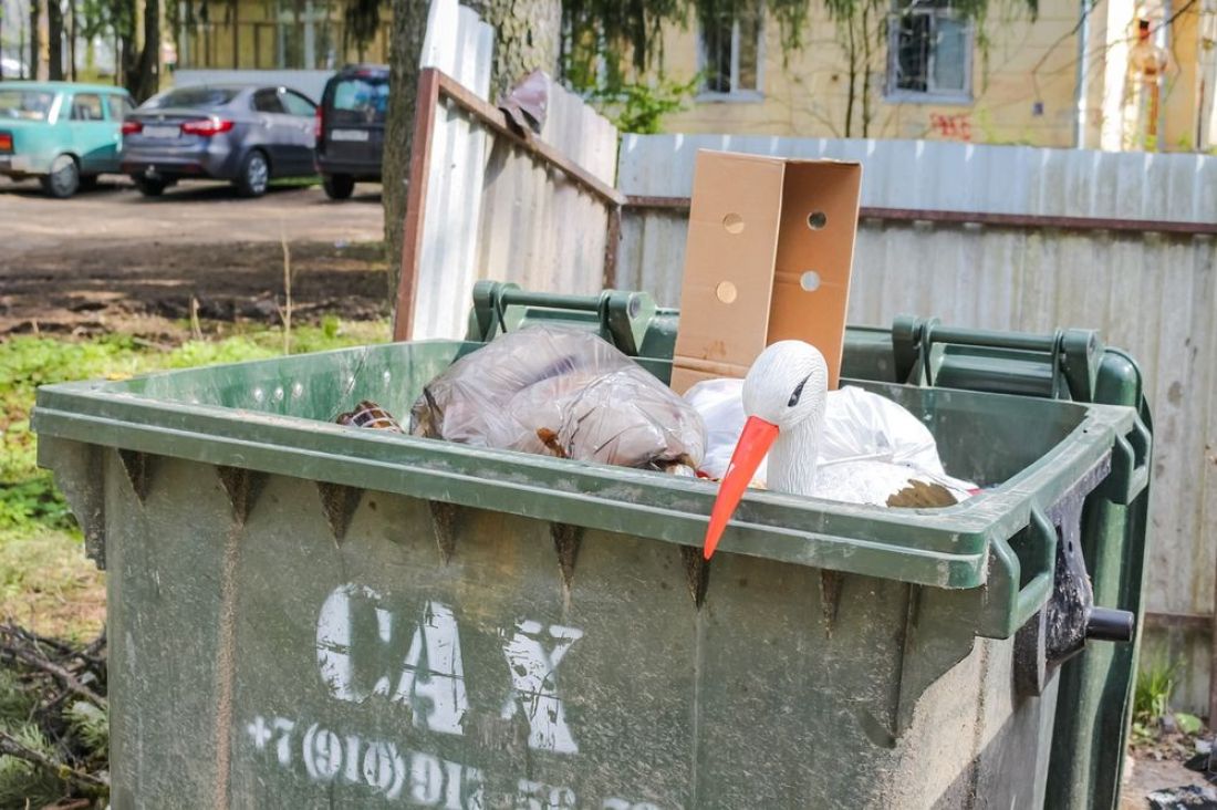 В мусорном баке города Спутник обнаружили девочку. Фото