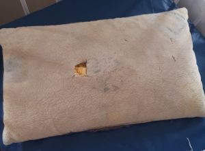 Вид поролоновых подушек в детском отделении больницы возмутил жителей Пензенской области