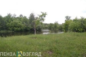 Спасение детей из реки, пропавшие мужчины и «гонки опарышей»: новости Пензенской области за 15 июля