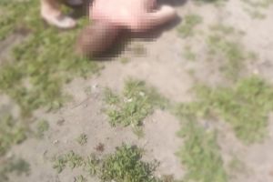 Опубликовано шокирующее фото утонувшего в Пензе мужчины
