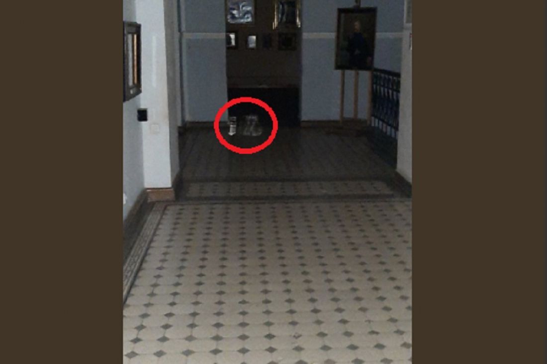 В Пензенской картинной галерее замечены призраки котят