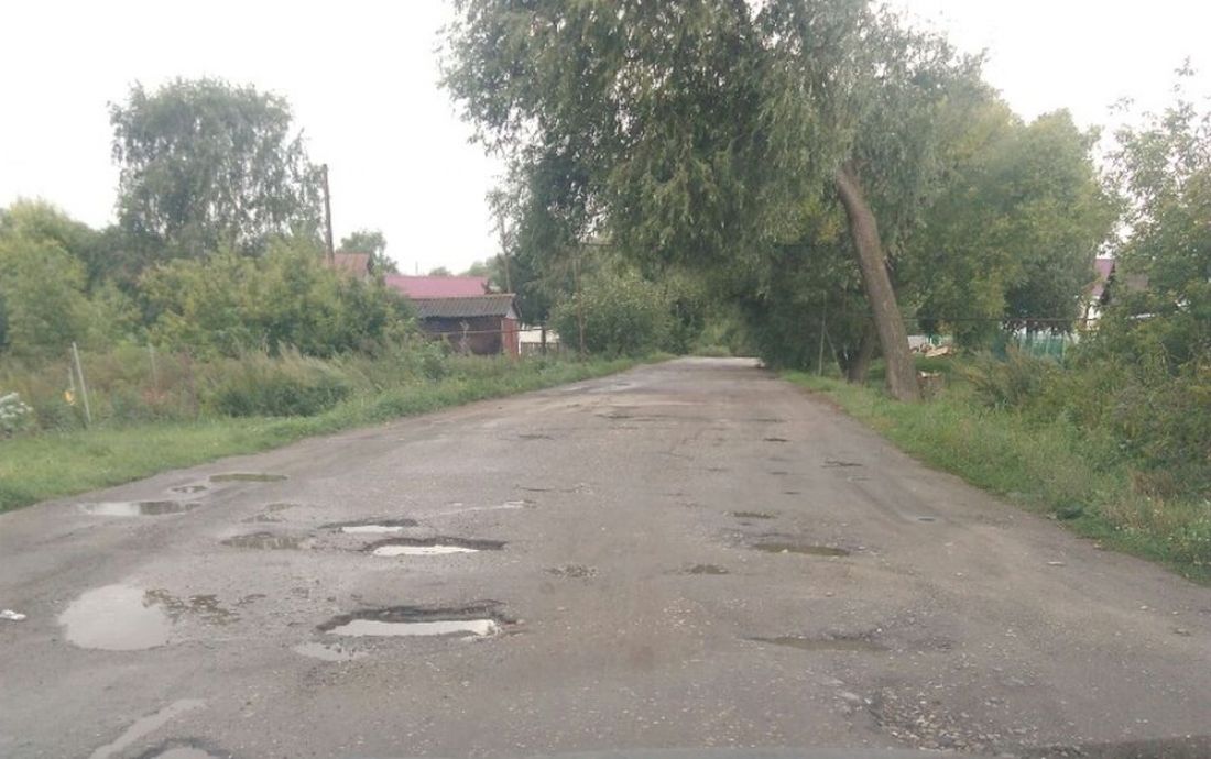 Жители Пензенской области хотят показать президенту ужасную дорогу