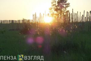 В Башмаковском районе Пензенской области намолочено более 100 тысяч тонн зерна