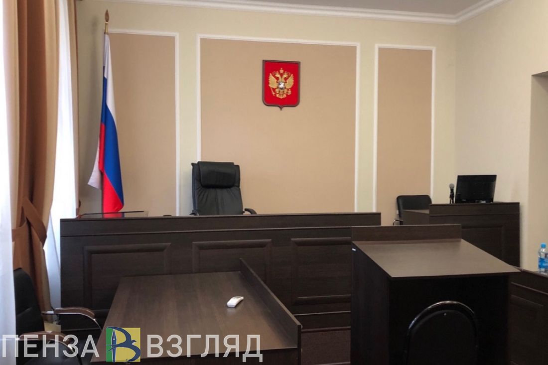 Приговор убийце пенсионерки, дебош в поезде и сбитый лось: новости Пензенской области за 8 августа