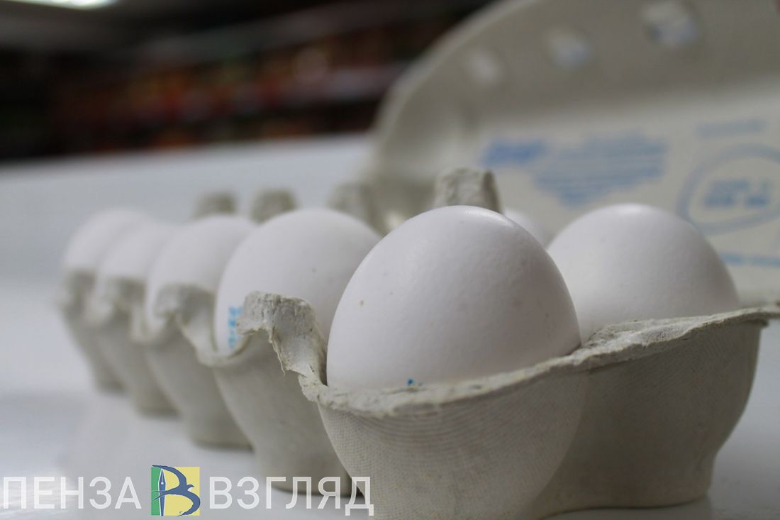 В Пензенской области растут показатели отрасли животноводства