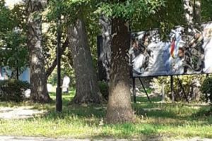 «Вообще сдурели». В пензенском парке парочка предалась плотским утехам