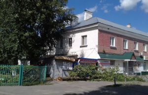 В райцентре Пензенской области тополя угрожают детским жизням