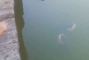 Добыча жестоко «посмеялась» над пензенскими рыбаками. Видео