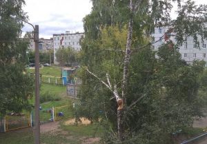 В Каменке сломанное ветром дерево «улеглось» на провода