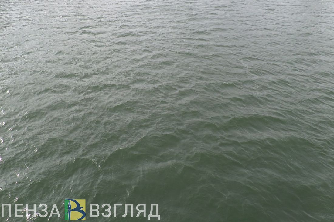 Позорное «переименование», утонувший мужчина и областной турслет: новости Пензенской области за 2 сентября