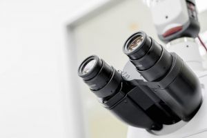 Пензенцы предлагают вести слежку за родителями гимназистов