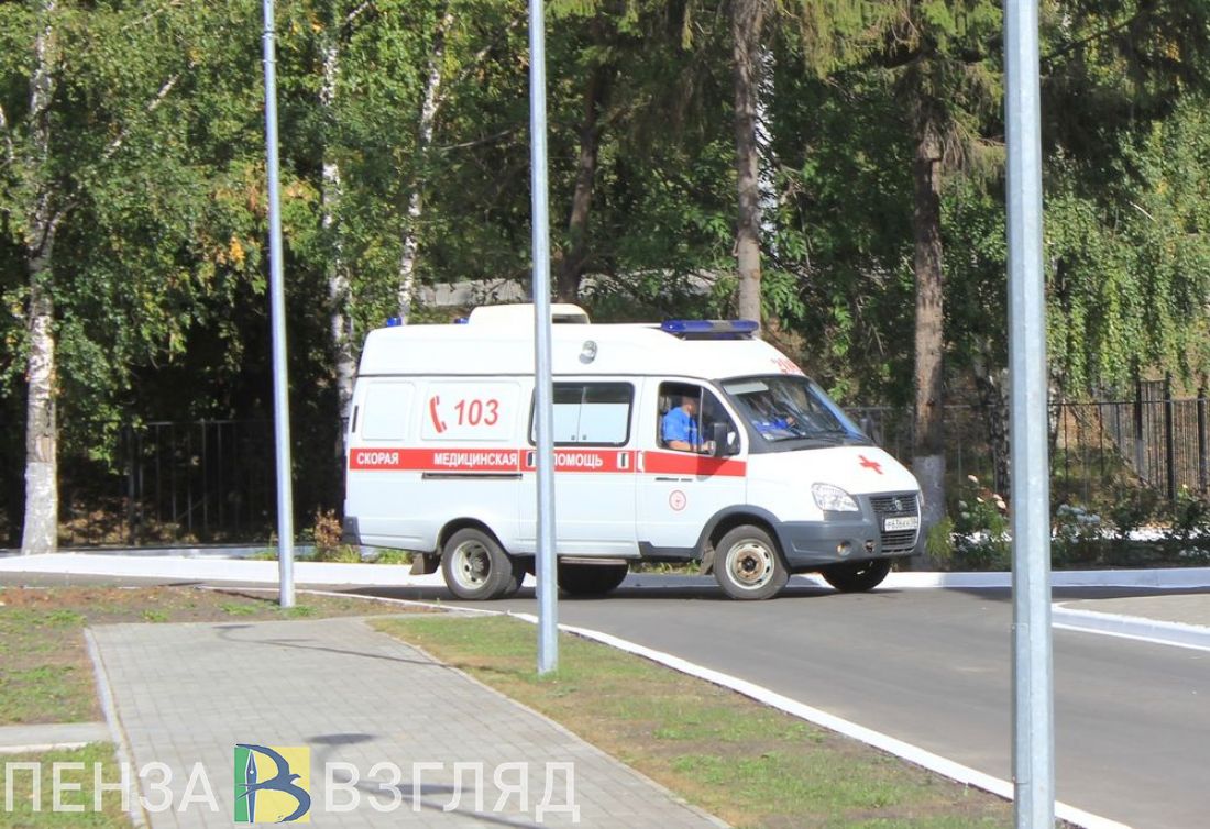 Соцсети: в Пензенской области от мышиной лихорадки умер 5-летний мальчик