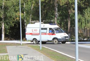 Соцсети: в Пензенской области от мышиной лихорадки умер 5-летний мальчик