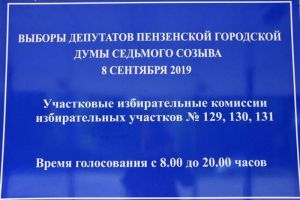 К 18 часам в Пензенской области проголосовало 400 тысяч человек